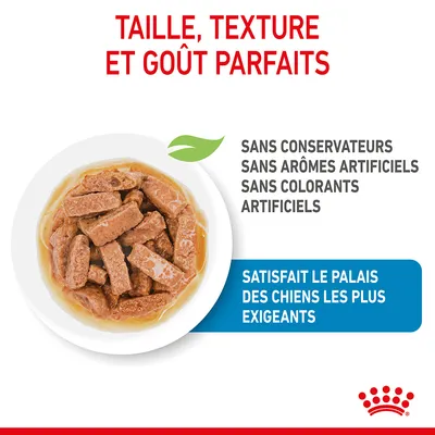 Taille, texture et goût parfaits. Sans conservateurs, sans arômes artificiels, sans colorants artificiels. Satisfait le palais des chiens les plus exigeants. Assiette de nourriture humide.