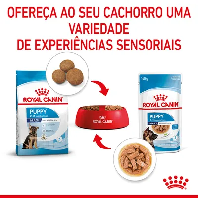 Royal Canin Puppy Maxi 2–15 meses: embalagem de ração seca, embalagem de alimento húmido 140 g, taça com ambos os alimentos e texto 'Ofereça ao seu cachorro uma variedade de experiências sensoriais'.