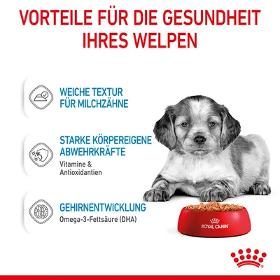 Texte en allemand : avantages pour la santé du chiot, texture douce pour dents de lait, défenses naturelles fortes (vitamines et antioxydants), développement cérébral (oméga-3 DHA). Royal Canin.