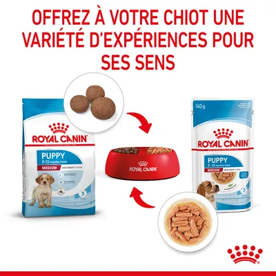 ROYAL CANIN Puppy Medium 2–12 mois, croquettes et sachets repas pour chiot, bols avec aliments, texte : Offrez à votre chiot une variété d’expériences pour ses sens.