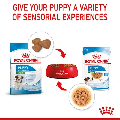 Image shows dry and wet puppy food, with arrows indicating both can be served in a bowl to provide varied sensorial experiences. Text: Give your puppy a variety of sensorial experiences.