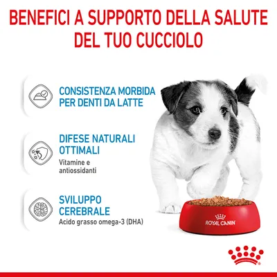 Benefici a supporto della salute del cucciolo: consistenza morbida per denti da latte, difese naturali ottimali con vitamine e antiossidanti, sviluppo cerebrale con DHA. Royal Canin.