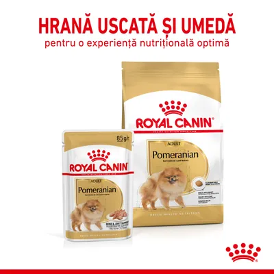 Royal Canin Adult Pomeranian hrană uscată și umedă pentru câini, pachet 85 g și sac mare. Text vizibil: „HRANĂ USCATĂ ȘI UMEDĂ pentru o experiență nutrițională optimă”.