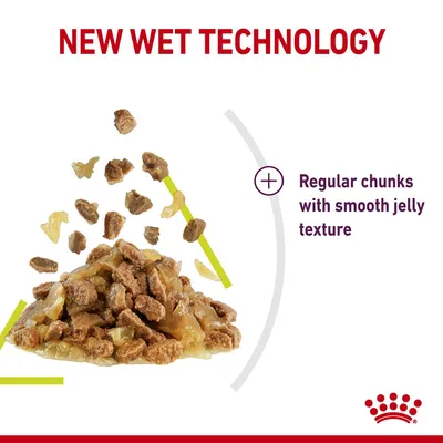 NEW WET TECHNOLOGY, Regular chunks with smooth jelly texture – tekst w języku angielskim, kawałki karmy w galaretce, logo Royal Canin