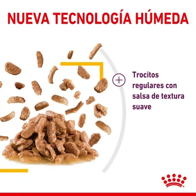 Nueva tecnología húmeda. Trocitos regulares con salsa de textura suave, imagen de comida húmeda para mascotas en trozos y salsa.