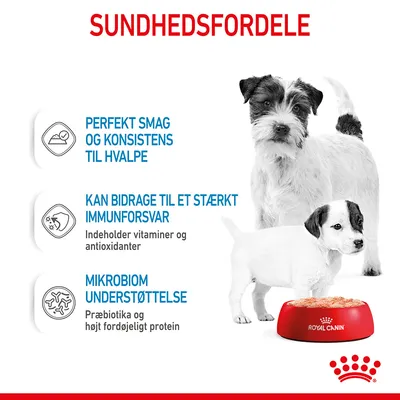 Sundhedsfordele: Perfekt smag og konsistens til hvalpe, kan bidrage til et stærkt immunforsvar med vitaminer og antioxidanter, mikrobiom understøttelse med præbiotika og letfordøjeligt protein.