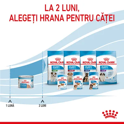 La 2 luni, alegeți hrana pentru căței. Royal Canin Starter la 1 lună, apoi sortimente Puppy Mini, Medium, Maxi, Giant la 2 luni. Ambalaje cu imagini de căței și logo Royal Canin.