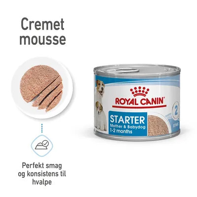 Royal Canin Starter Mother & Babydog 1-2 months dåse, cremet mousse. Tekst: Perfekt smag og konsistens til hvalpe. Billede af skåret mousse og dåsens forside.