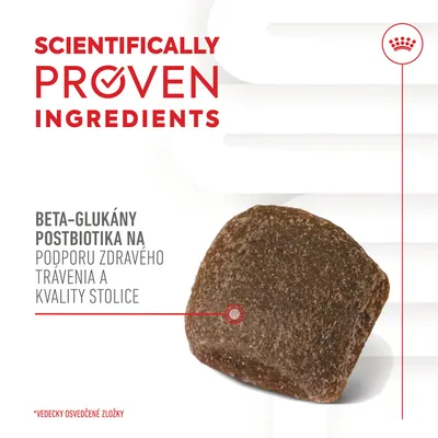 SCIENTIFICALLY PROVEN INGREDIENTS. Beta-glukány, postbiotiká na podporu zdravého trávenia a kvality stolice. Vedecky osvedčené zložky. Text v angličtine a slovenčine.