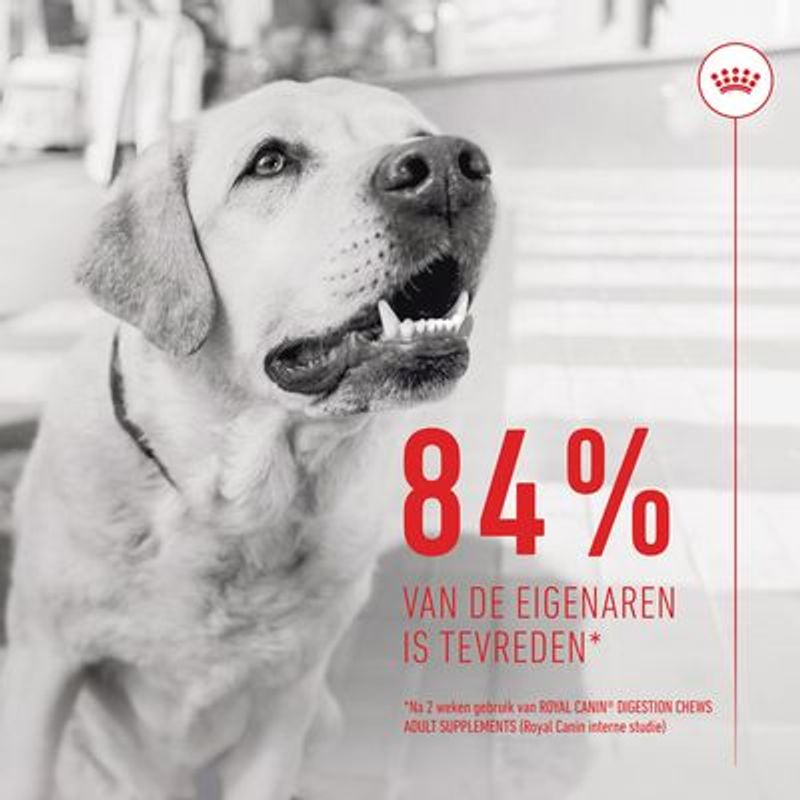 Royal Canin Digestion Adult Supplement Kauwsnacks