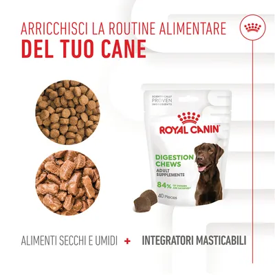 Royal Canin Digestion Chews Adult Supplements 84% of owners are satisfied, 40 pezzi. Alimenti secchi e umidi più complementi alimentari masticabili per cani.