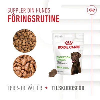 Royal Canin Digestion Adult Chews kosttilskudd