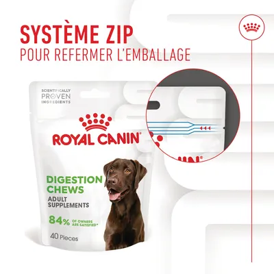 ROYAL CANIN Digestion Chews Adult Supplements, 40 pièces, système zip pour refermer l’emballage, 84 % of owners are satisfied*, image d’un chien marron sur le sachet.