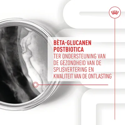 Bèta-glucanen postbiotica ter ondersteuning van de gezondheid van de spijsvertering en kwaliteit van de ontlasting