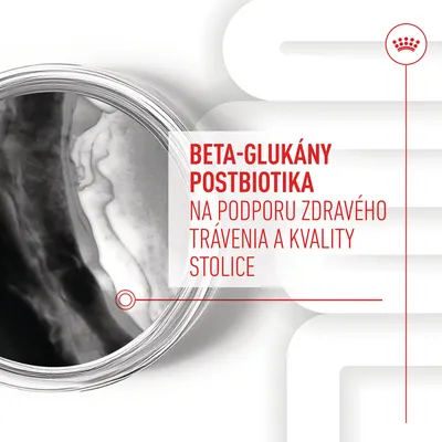 BETA-GLUKÁNY POSTBIOTIKA NA PODPORU ZDRAVÉHO TRÁVENIA A KVALITY STOLICE