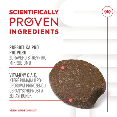 SCIENTIFICALLY PROVEN INGREDIENTS. Prebiotika pro podporu zdravého střevního mikrobiomu. Vitamíny C a E, které pomáhají podporovat obranyschopnost a zdraví buněk. Vědecky ověřené komponenty.