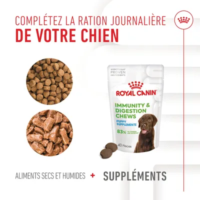 Complétez la ration journalière de votre chien. Royal Canin Immunity & Digestion Chews Puppy Supplements, 83 % of owners are satisfied, 40 pièces. Aliments secs et humides + suppléments.
