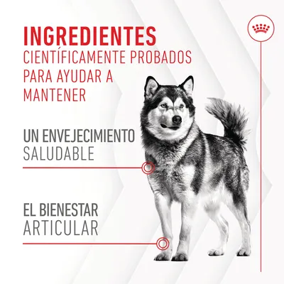 Ingredientes científicamente probados para ayudar a mantener un envejecimiento saludable y el bienestar articular. Texto promocional junto a la imagen de un perro.
