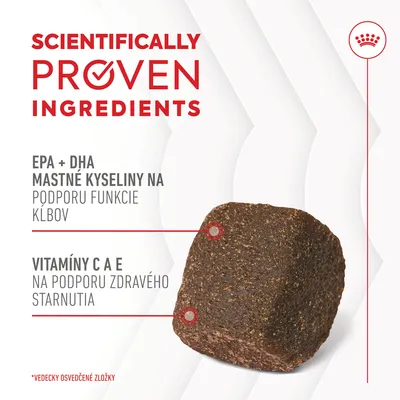 Text: Scientifically proven ingredients. EPA + DHA mastné kyseliny na podporu funkcie kĺbov, vitamíny C a E na podporu zdravého starnutia. Kocka krmiva.