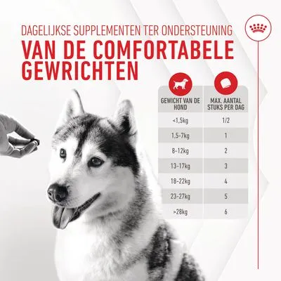 Royal Canin Joint & Ageing Adult Supplement Kauwsnacks
