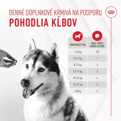 Denné doplnkové krmivá na podporu pohodlia kĺbov. Tabuľka: hmotnosť psa a max. počet kusov za deň, napr. 1,5–7 kg: 1 kus, 8–12 kg: 2 kusy, >28 kg: 6 kusov.