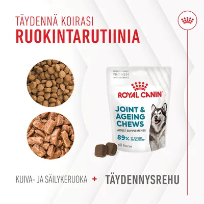 Royal Canin Joint & Ageing Chews -täydennysrehu koirille, pakkauksessa 60 palaa. Teksti: Täydennä koirasi ruokintarutiinia. Kuiva- ja säilykeruoka + täydennysrehu.