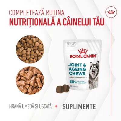 Royal Canin Joint & Ageing Chews, suplimente pentru câini adulți, 60 bucăți. Text: Completează rutina nutrițională a câinelui tău. Hrană umedă și uscată + suplimente.