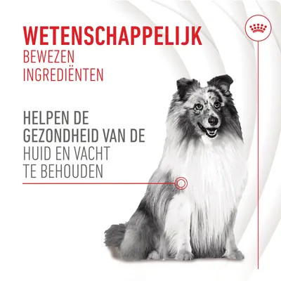 Wetenschappelijk bewezen ingrediënten helpen de gezondheid van de huid en vacht te behouden. Afbeelding van een hond. Tekst in het Nederlands.