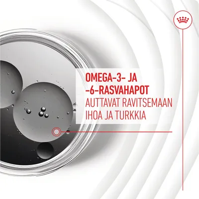 OMEGA-3- JA -6-RASVAHAPOT AUTTAVAT RAVITSEMAAN IHOA JA TURKKIA. Teksti punaisella, taustalla öljypisaroita lasiastiassa.