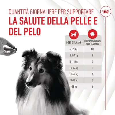 Quantità giornaliere per la salute della pelle e del pelo. Tabella: peso del cane da <1,5 kg a >28 kg, massimo pezzi al giorno da 1/2 a 6.