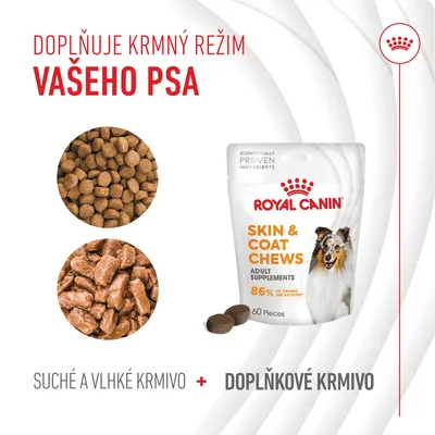 ROYAL CANIN SKIN & COAT CHEWS Adult Supplements, 86 % of owners are satisfied, balení 60 kusů. Suché a vlhké krmivo plus doplňkové krmivo pro psy.