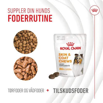 Suppler din hunds foderrutine. Royal Canin Skin & Coat Chews, 86 % of owners are satisfied, 60 pieces. Tørfoder og vådfoder plus tilskudsfoder.