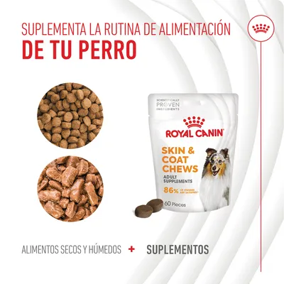 Royal Canin Skin & Coat Chews Adult Supplements, envase de 60 piezas junto a croquetas secas y húmedas. Texto: Suplementa la rutina de alimentación de tu perro. 86% of owners are satisfied. Royal Canin Skin & Coat Chews Adult Supplements, envase de 60 piezas junto a croquetas secas y húmedas. Texto: Suplementa la rutina de alimentación de tu perro. 86% of owners are satisfied.
