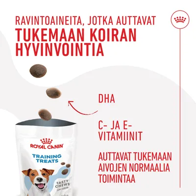 Royal Canin Training Treats -pussi, teksti: Ravintoaineita, jotka auttavat tukemaan koiran hyvinvointia. DHA, C- ja E-vitamiinit auttavat tukemaan aivojen normaalia toimintaa.