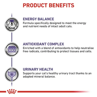 Product benefits: energy balance for adult cats, antioxidant complex to protect tissues and cells, and urinary health support with adapted mineral balance.