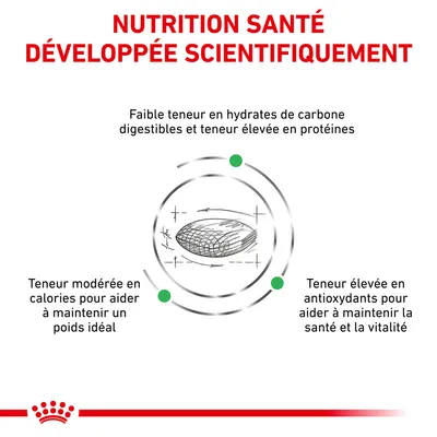 NUTRITION SANTÉ DÉVELOPPÉE SCIENTIFIQUEMENT. Faible teneur en hydrates de carbone digestibles, riche en protéines, calories modérées, teneur élevée en antioxydants.