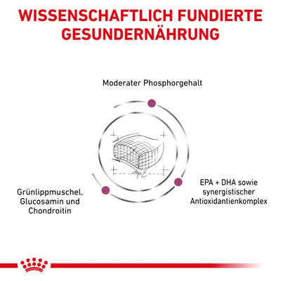 Wissenschaftlich fundierte Gesunderhaltung: Moderater Phosphorgehalt, Grünlippmuschel mit Glucosamin und Chondroitin, EPA + DHA sowie synergistischer Antioxidantienkomplex.