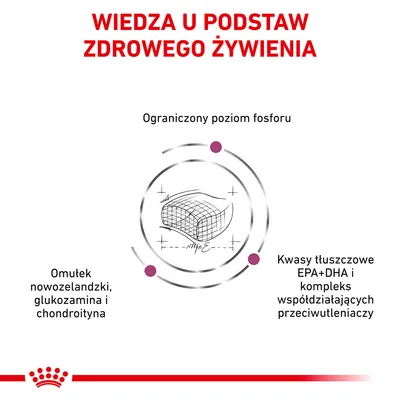 Wiedza u podstaw zdrowego żywienia. Ograniczony poziom fosforu, omułek nowozelandzki, glukozamina i chondroityna, kwasy tłuszczowe EPA+DHA, kompleks przeciwutleniaczy.