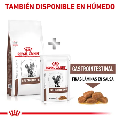 Pienso y sobre de comida húmeda Royal Canin Veterinary Gastrointestinal para gatos. Texto visible: 'GASTROINTESTINAL', 'FINAS LÁMINAS EN SALSA', 'TAMBIÉN DISPONIBLE EN HÚMEDO'.