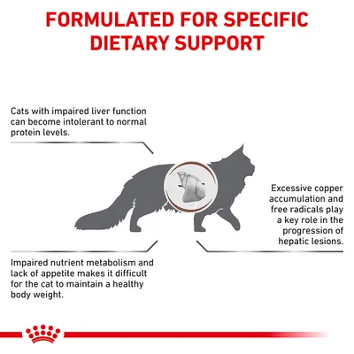 Formulated for specific dietary support: highlights issues with protein intolerance, copper accumulation, free radicals, impaired nutrient metabolism and appetite in cats with liver problems.