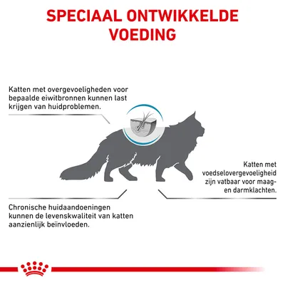 Speciaal ontwikkelde voeding. Katten met overgevoeligheid voor eiwitbronnen kunnen huidproblemen krijgen en zijn vatbaar voor maag- en darmklachten. Chronische huidaandoeningen beïnvloeden levenskwaliteit.