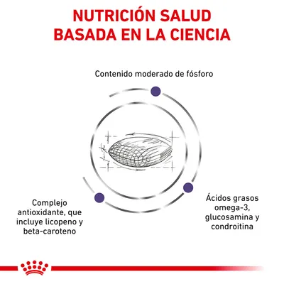 Nutrición salud basada en la ciencia. Contenido moderado de fósforo, complejo antioxidante con licopeno y beta-caroteno, ácidos grasos omega-3, glucosamina y condroitina.