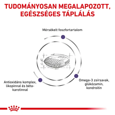 Tudományosan megalapozott, egészséges táplálás. Mérsékelt foszfortartalom. Antioxidáns komplex likopinnal és béta-karotinnal. Omega-3 zsírsavak, glükózamin, kondroitin.