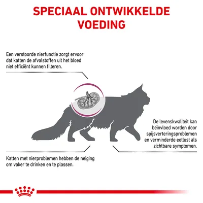 Speciaal ontwikkelde voeding. Tekst: Een verstoorde nierfunctie zorgt ervoor dat katten afvalstoffen niet efficiënt filteren. Katten met nierproblemen drinken en plassen vaker.