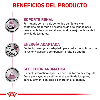 Beneficios del producto: soporte renal, energía adaptada y selección aromática. Textos explicativos sobre función renal, contenido energético y perfil aromático para gatos.