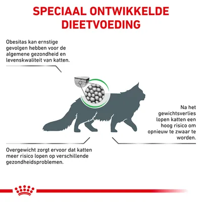Speciaal ontwikkelde dieetvoeding. Obesitas kan ernstige gevolgen hebben voor de gezondheid en levenskwaliteit van katten. Overgewicht verhoogt risico op gezondheidsproblemen.