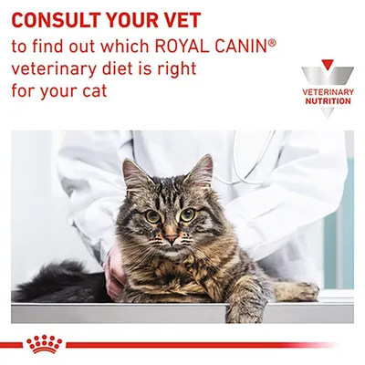 Text på engelska: CONSULT YOUR VET to find out which ROYAL CANIN veterinary diet is right for your cat. Bild på katt hos veterinär, logotyp: VETERINARY NUTRITION.