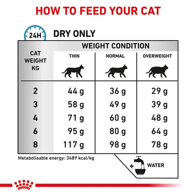 Feeding guide showing daily dry food amounts in grams for cats by weight and condition: thin, normal, overweight. Includes water symbol and metabolizable energy 3489 kcal/kg.