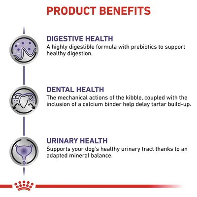 Product benefits: Digestive health with prebiotics for digestion, dental health to delay tartar build-up, and urinary health supporting a healthy urinary tract with adapted mineral balance.