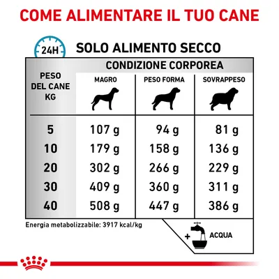 Tabella consigli alimentari per cani: peso 5–40 kg, dosi giornaliere in grammi per magro, peso forma e sovrappeso. Energia metabolizzabile: 3917 kcal/kg. Acqua sempre disponibile.